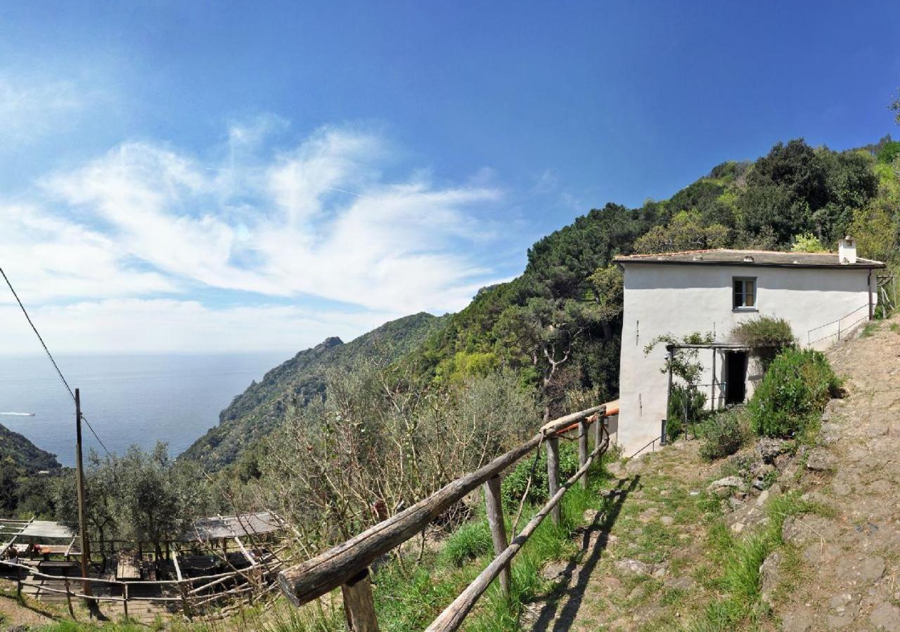 Willa Agririfugio Molini Camogli Zewnętrze zdjęcie
